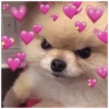Melhores figurinhas de amor 14
