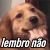 Memes Divertidos☺️ 8