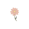Aesthetic items 7