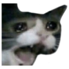 Michis 8