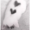 ࣪˖ ✦ - soft love 12