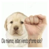 Ola miamor, estas viendo p*orno solo?