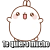 Te quiero mucho