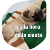 es la hora de la siesta