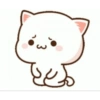 Kitten 21