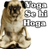 Funny PUG 15