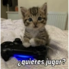 ❤️Gatos Cura depresión😮‍💨😾 5