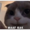 Petrik 30