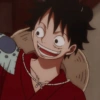 Monkey d. luffy 10