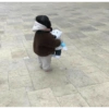 कोरियाई बच्चा 🇰🇷 16