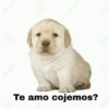 Te amo cojemos?