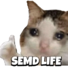 All memes 7