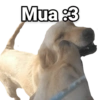 Mua :3