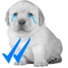 🌈Perrito memes🐶🐶🐶 18