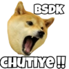 Dog Memes 14