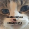 contestame o me convulsiono