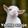 Ya me enojé