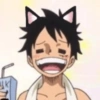 Monkey d. luffy 25