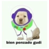 bien penzado gudi