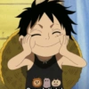 Monkey d. luffy 12