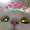 oi
D))
(C
mo