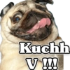 Funny PUG 13