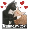 @Vickyfas
Te amo mi toxi