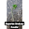 KARTALFREKANS 18