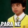 PARA NE