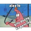 Petrik sokap ygy 5