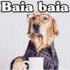 Peyitos Bonitos❤️🐕🥈 21