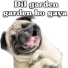 Funny PUG 11