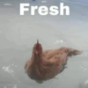 🤪👌Shitposting Random 😎🤟 2 14