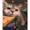 Gatitos heart 3 (mejores) 30