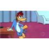 Pica pau 12