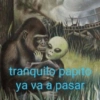 tranquito papito
ya va a pasar