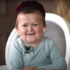 Mini khabib memes 5