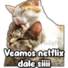 on Mickyfas
Veamos netflix
dale siiii