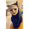 Aaaaaaa 6