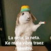 🤪👌Shitposting Random 😎🤟 2 15