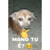 MANO TU
€29