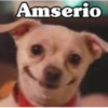 Peyitos Bonitos❤️🐕🥈 16