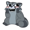 Mapaches mal hechos 11