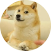 Memes de animais 4 15
