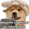 Déjame capturar
tu estupidez