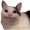 Variedade de memes 22