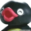 Pingu 🐧 29