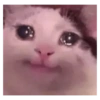 Gatito lloroso