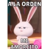 MASCOTAS? 7
