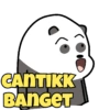 Barebear 9
